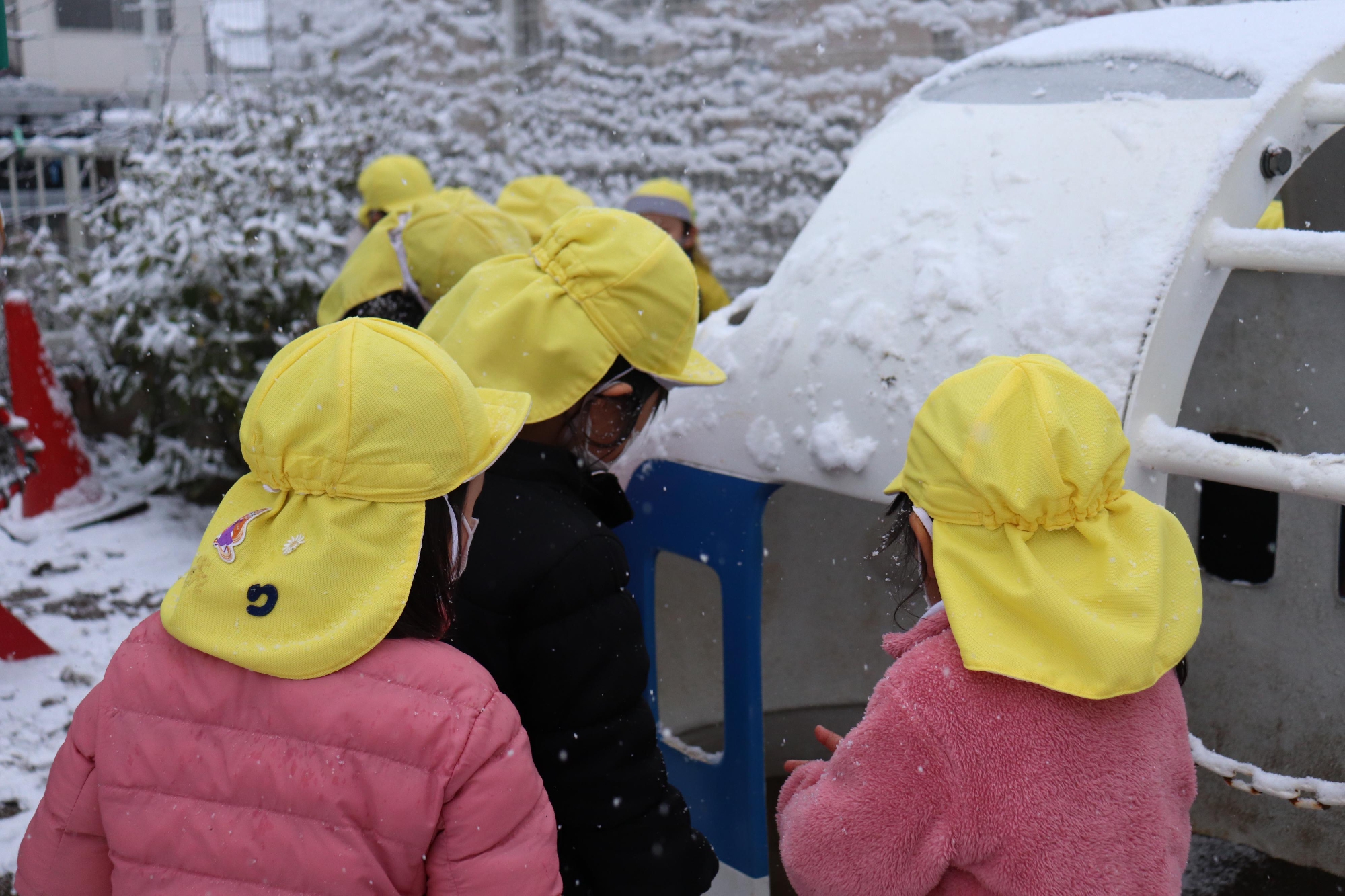 初雪